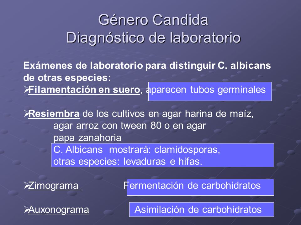 diagnostico de laboratorio de candida albicans